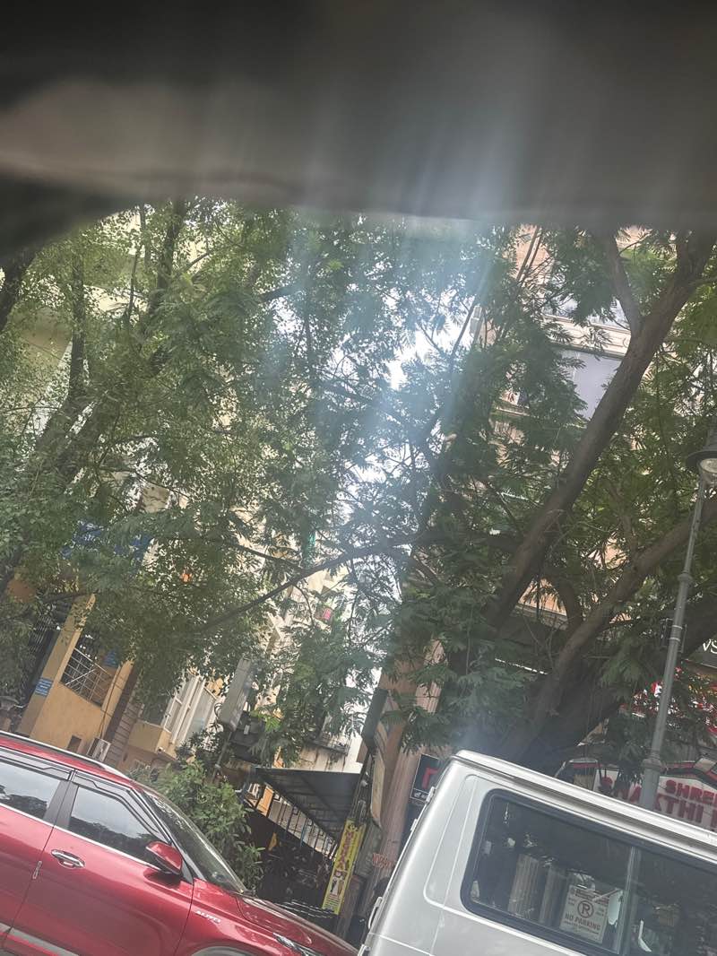 walking near me in Panagal Park in autumn