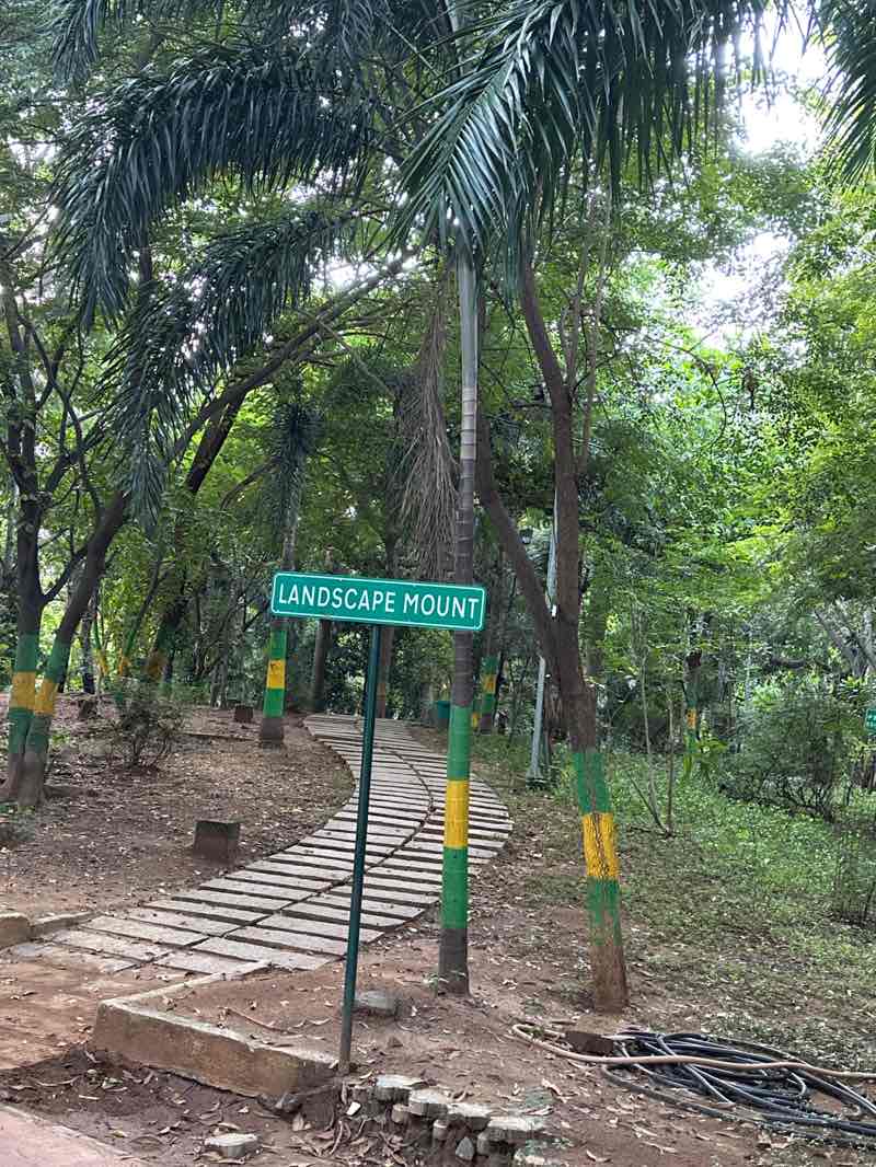 walking near me in Natesan Park in autumn
