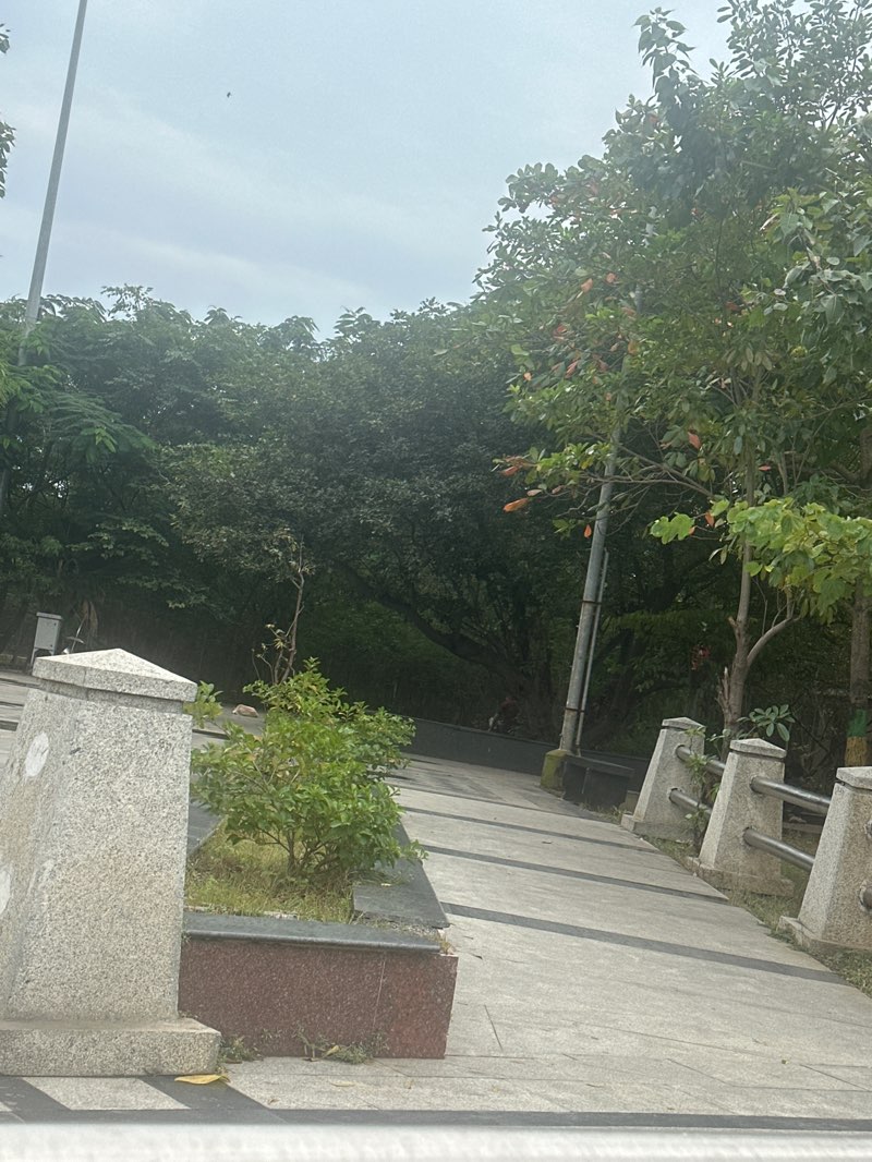 walking near me in Fort Park in winter