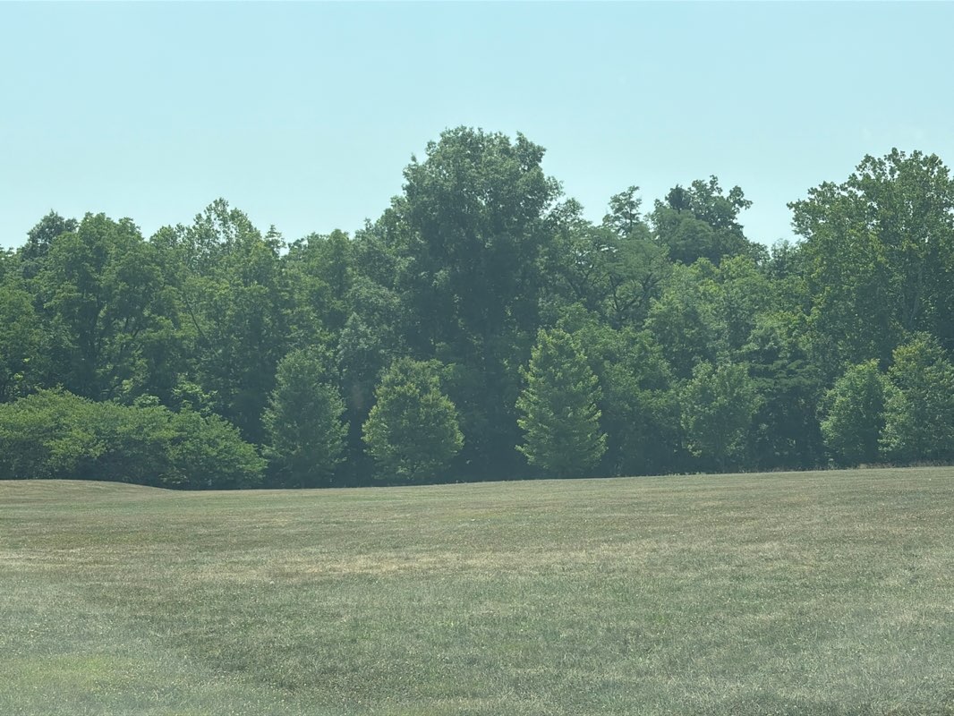 walking near me in Red Bridge Park in summer