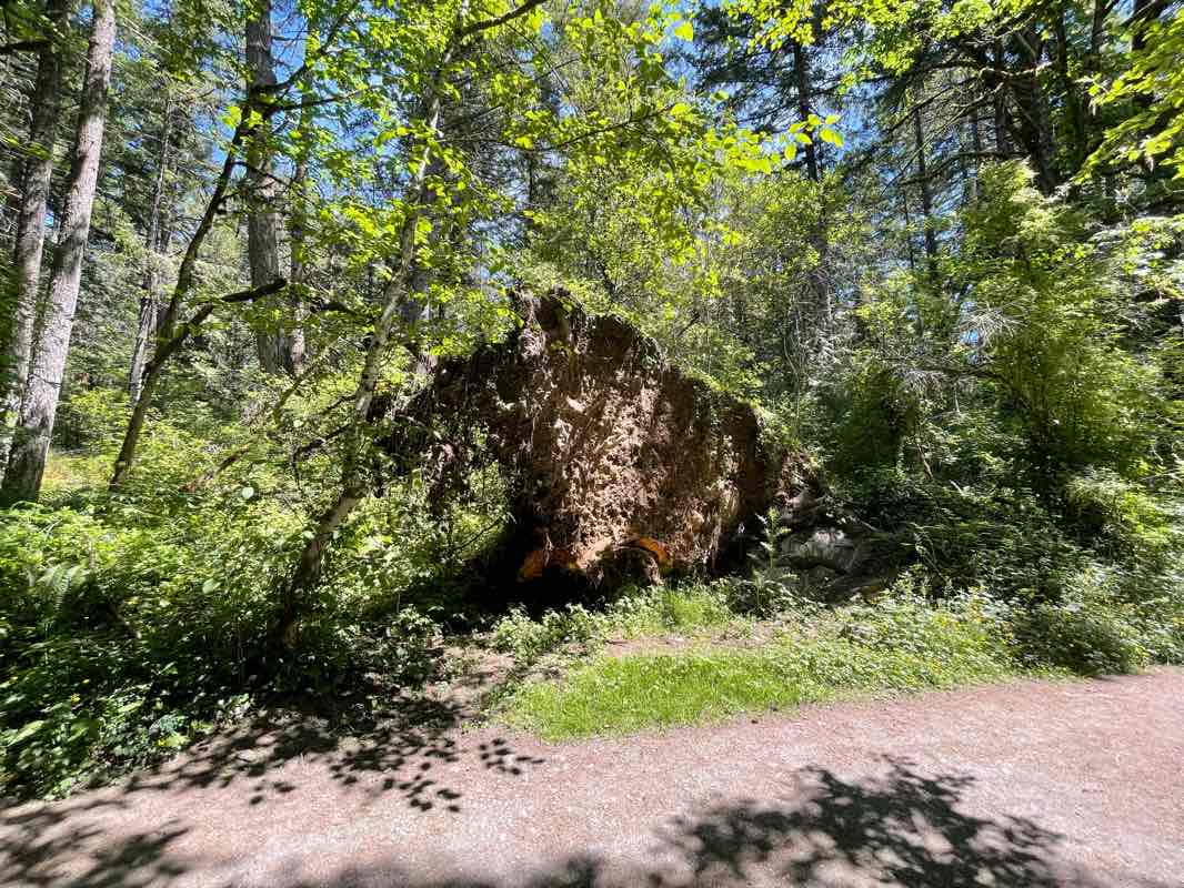 walking near me in Elk/Beaver Lake Regional Park in winter