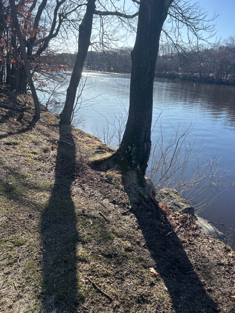 walking near me in Watertown-Cambridge Greenway in winter