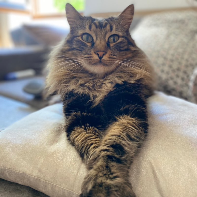 Luca