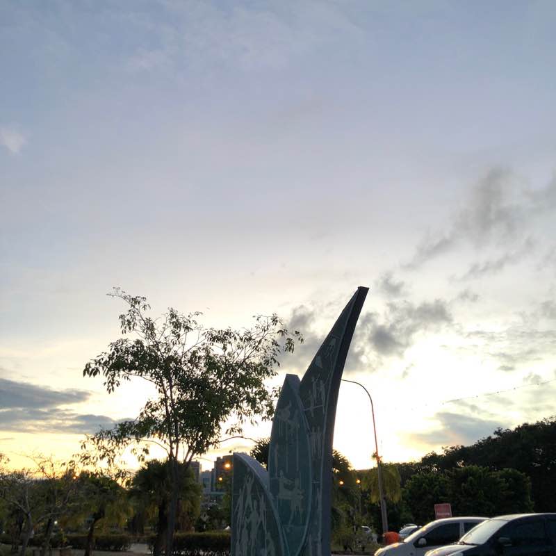 Sandora Rappice post 2