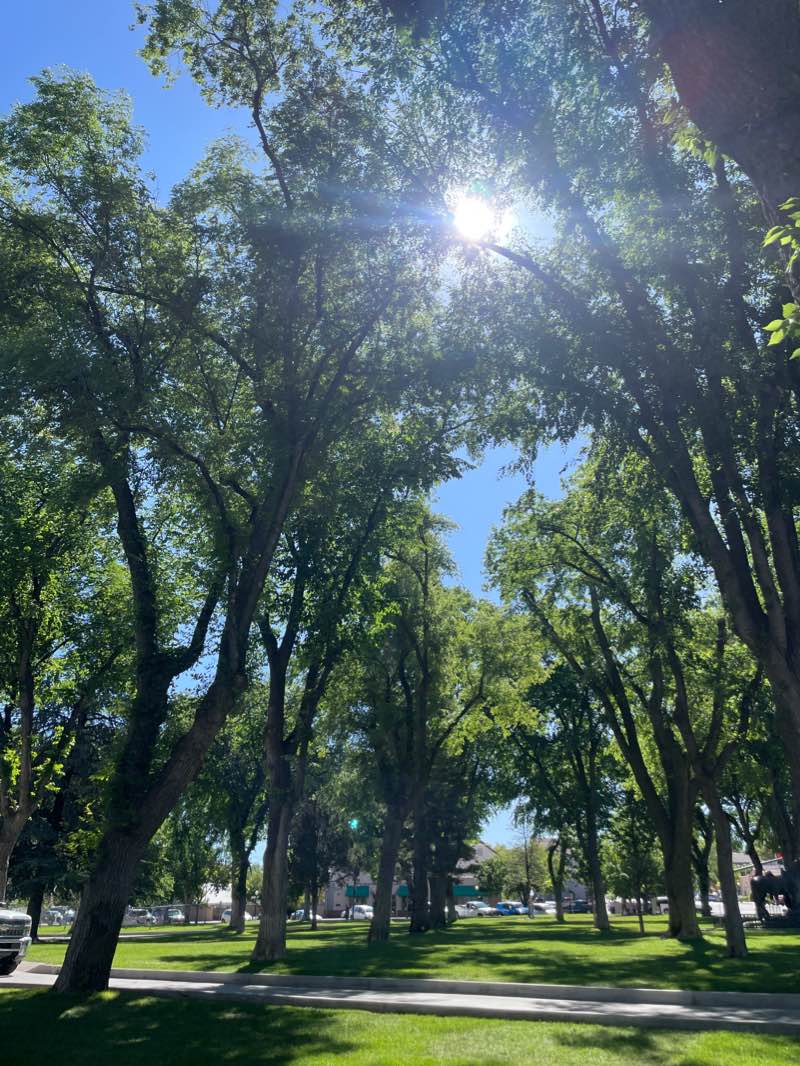 walking near me in Courthouse Plaza in winter