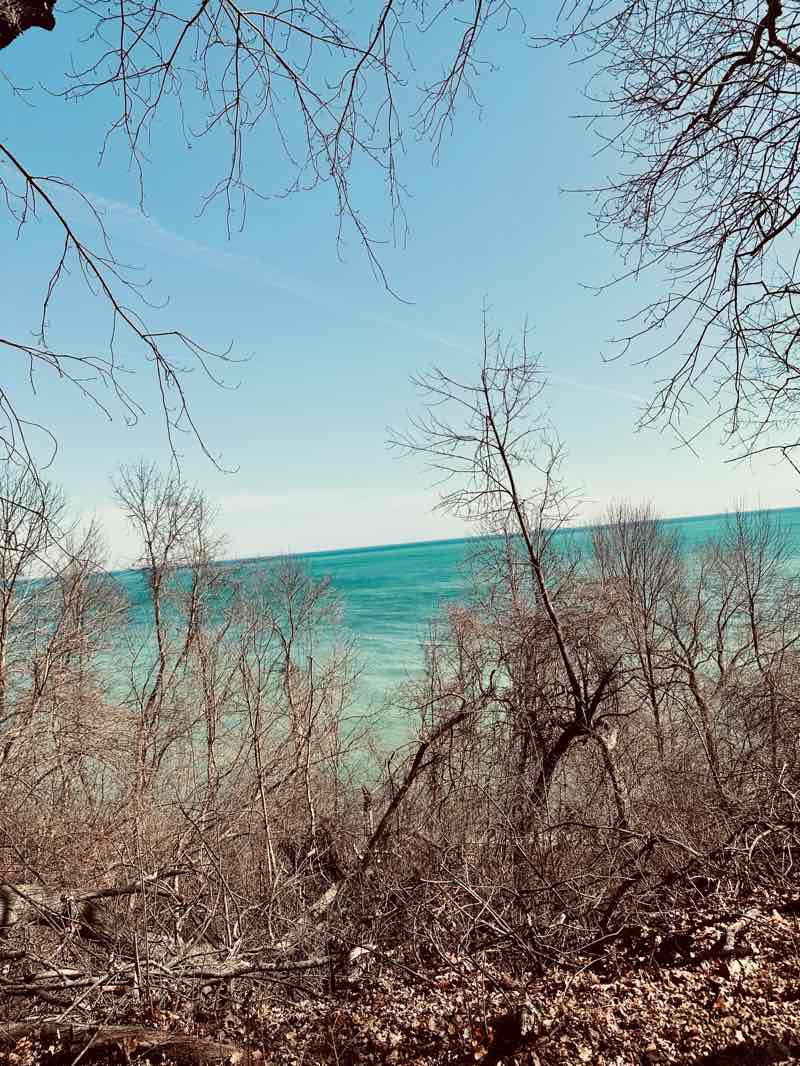 walking near me in Sheridan Park in winter