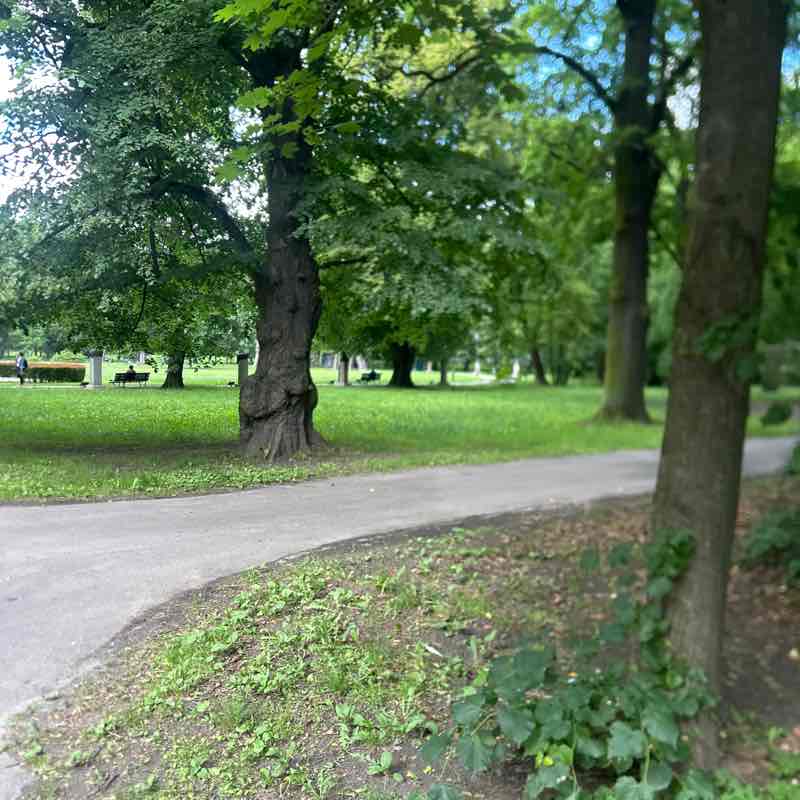 Jadwiga post 3