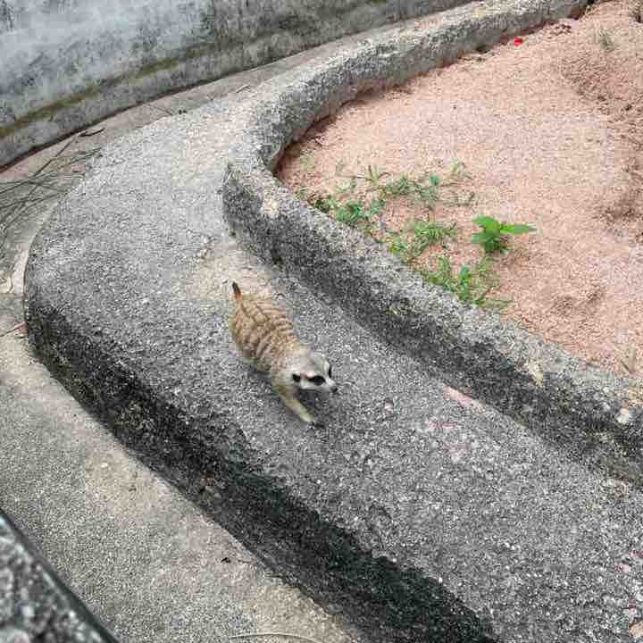 🔥 Александр 🔥 post 2