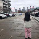 小龙