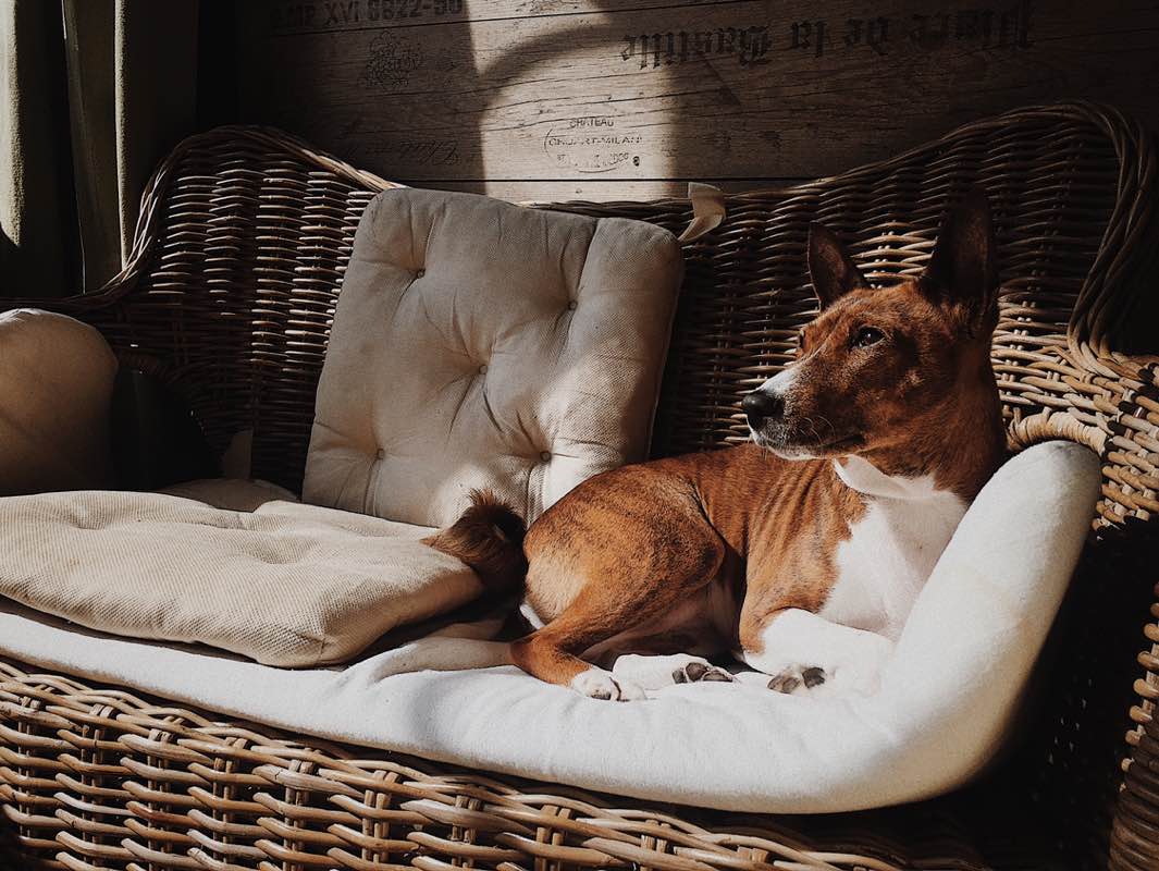 Ekaterina Manaenkova