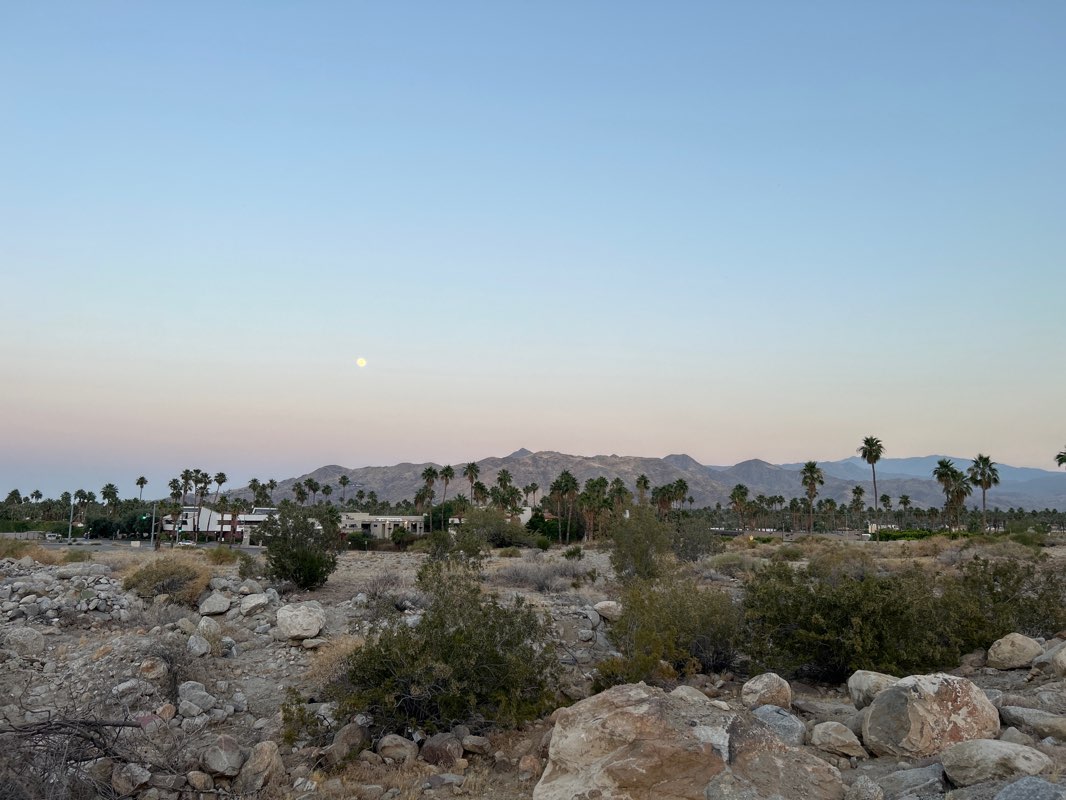 walking near me in Frances Stevens Park in winter