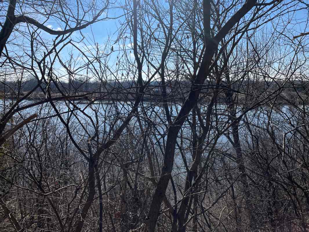 walking near me in Dufferin Park in winter