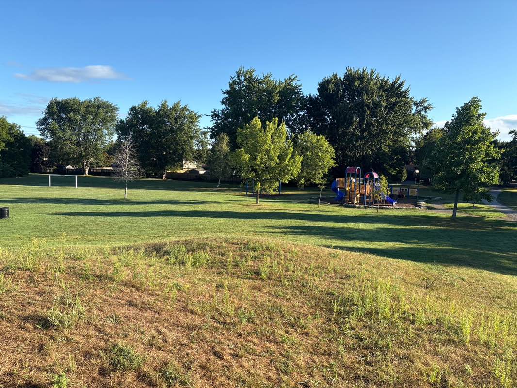 walking near me in Briar Park in autumn