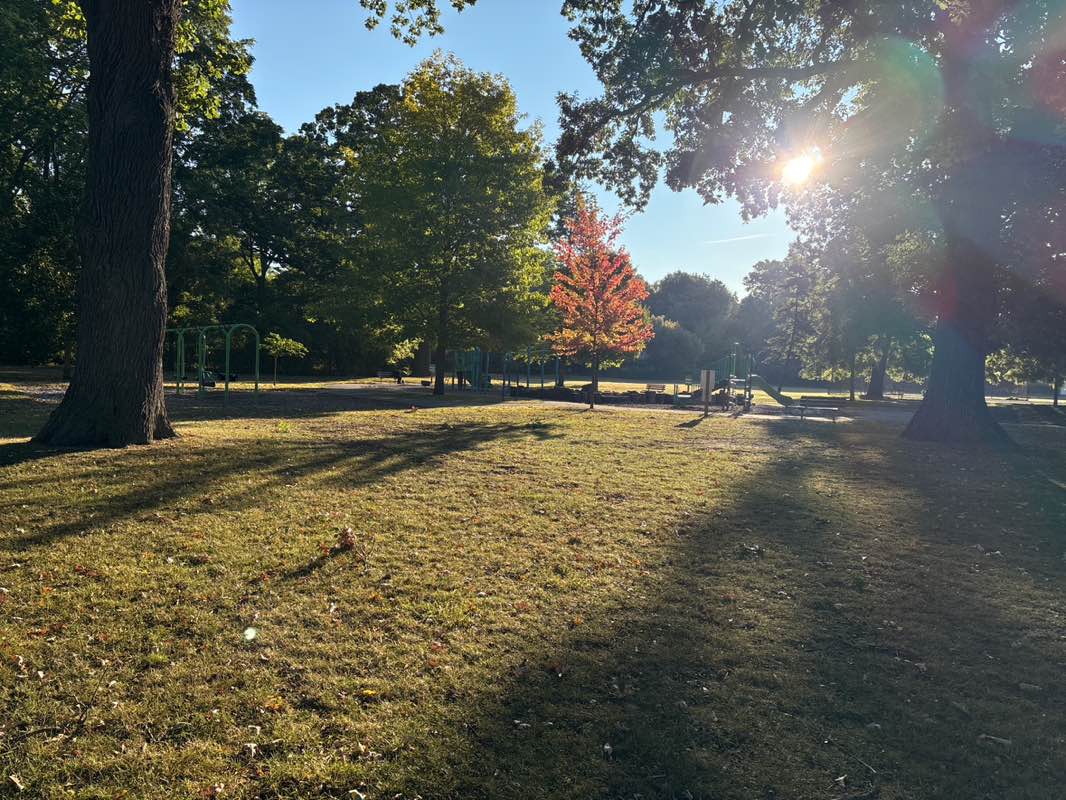 walking near me in Spring Street-Buck Park in autumn
