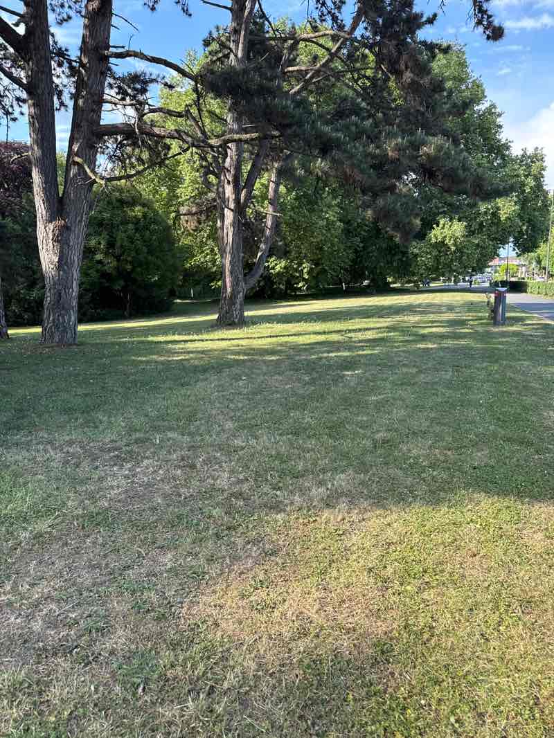 walking near me in Parc Marvis in spring