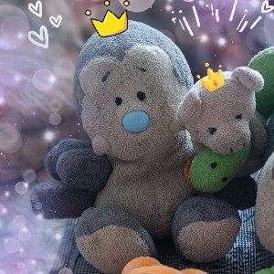 Plüschenreisespinne🕷️ profile