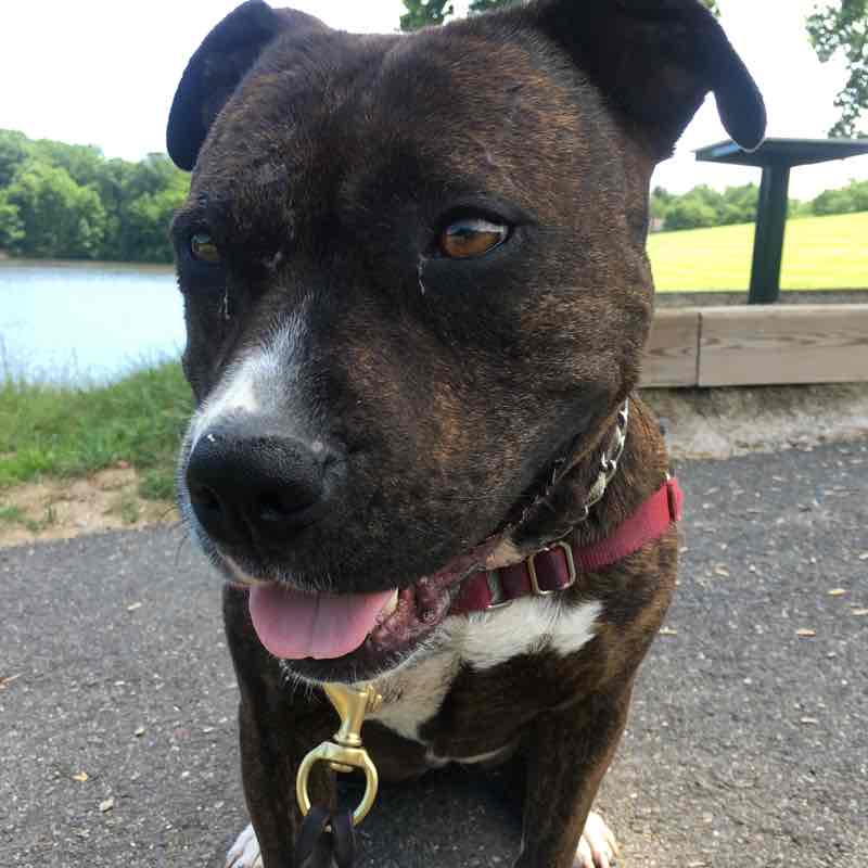 Manda Moncada post 1