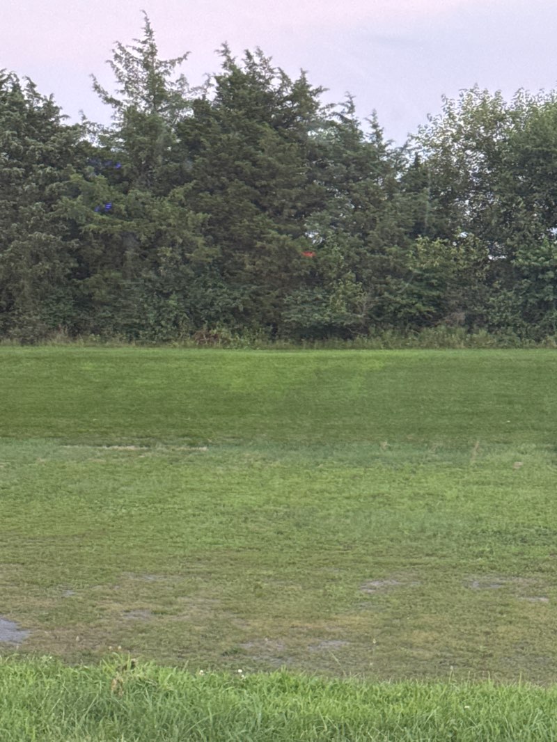 walking near me in Roberts Mill Park in autumn