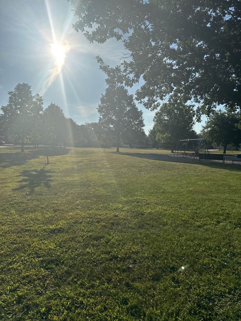 walking near me in Millage Park in autumn