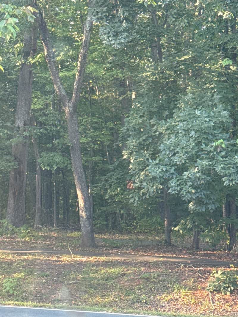 walking near me in Charlotte Y. Humphris Park in autumn