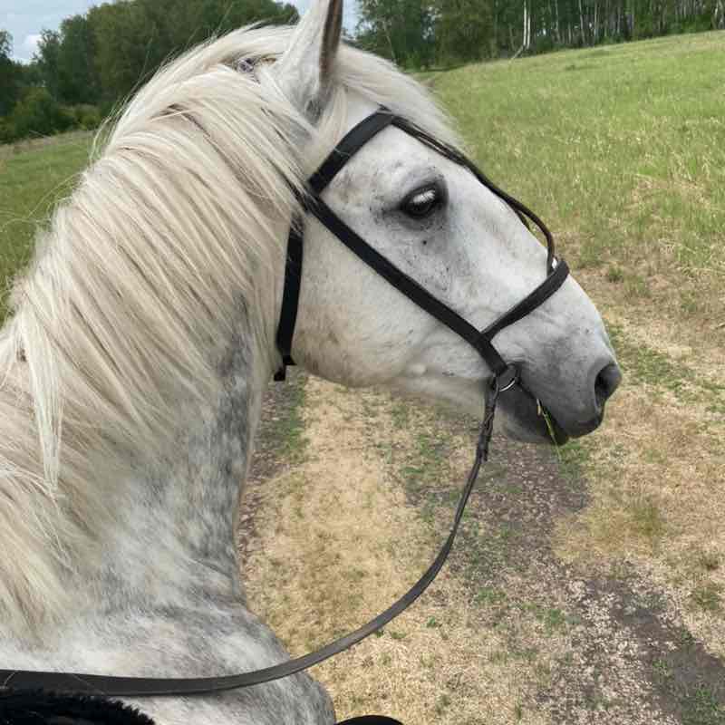 Оленька Я!!! post 1