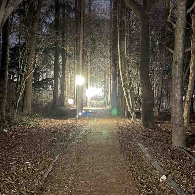 운동해서 맛있는거 먹기 쩡아🌟 post image