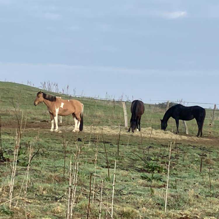🌹NATURE  WALKS🌹 Richard post image