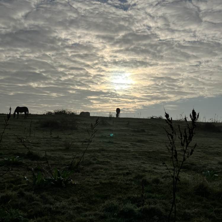 🌹NATURE  WALKS🌹 Richard post image