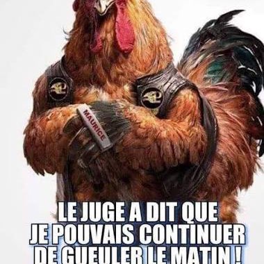 Team « pas » à gogo ! 🤪 Richard post image