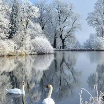 🦋💖BUTTERFLIES💖🦋 Richard post image