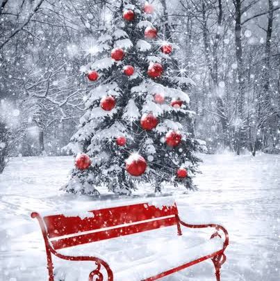 Шаги  за день Richard post image