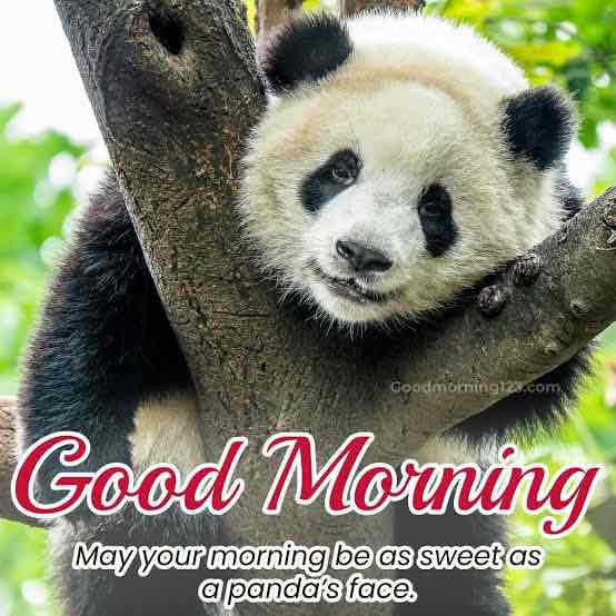 Шаги  за день Richard post image