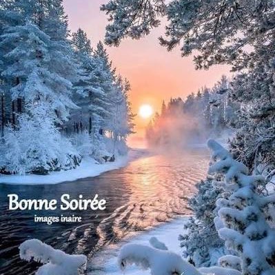 🦋💖BUTTERFLIES💖🦋 Richard post image