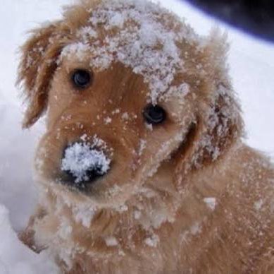 Les Amis à Melko Richard post image