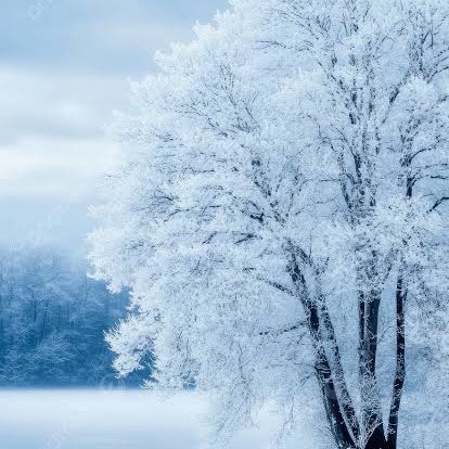 福岡、よかとこ隊（たい） Richard post image