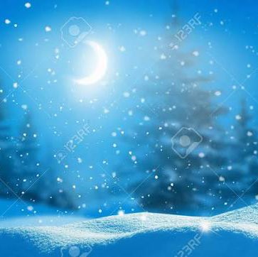 R’s (Coco)🐾🐾 Richard post image