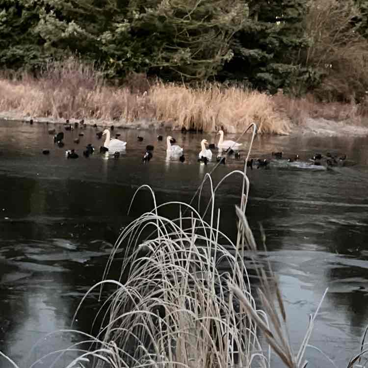 Аюнамарафон 38 Richard post image