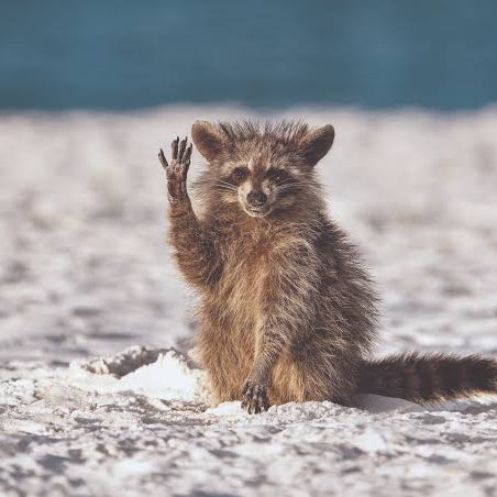 Шаги  за день Richard post image