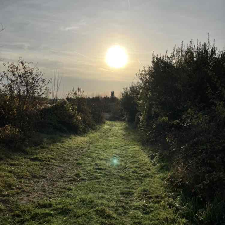 2026 😎Step Challenge😎 Richard post image