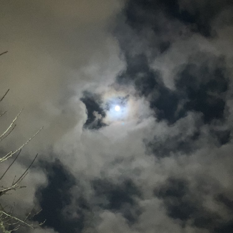 The reverse side of the Moon Richard post image