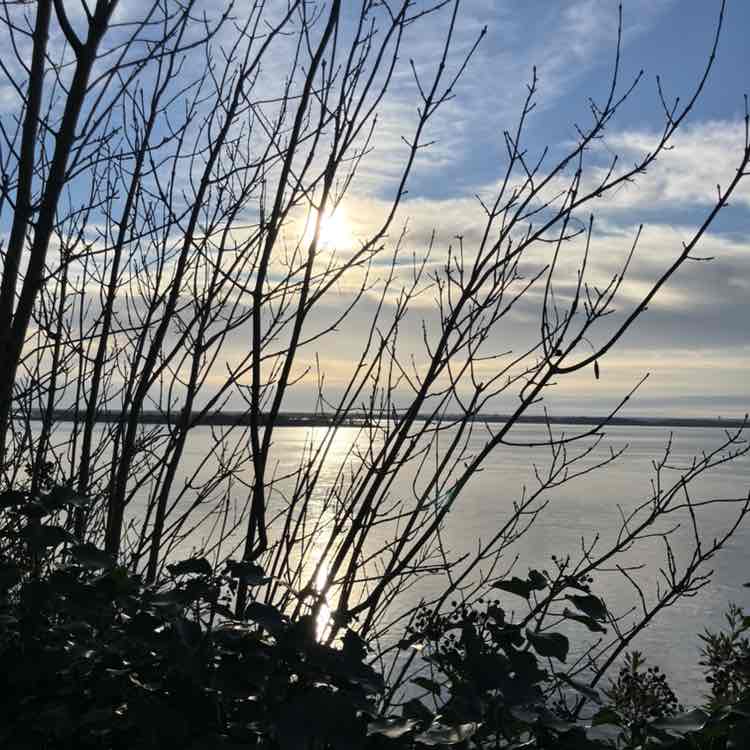 Аюнамарафон 38 Richard post image