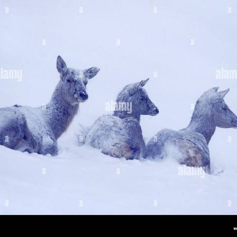 福岡、よかとこ隊（たい） Richard post image