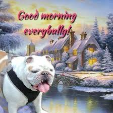 R’s (Coco)🐾🐾 Richard post image