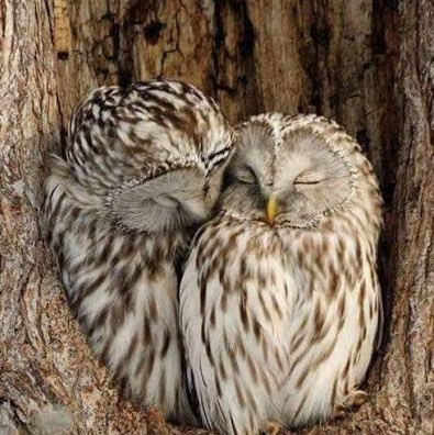 Matriochka Richard post image