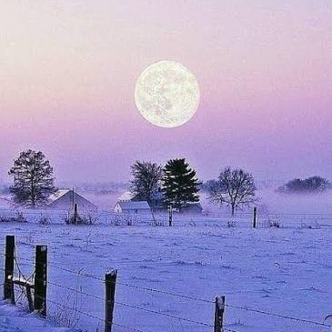 Wellness Together 🌍💚✨ Richard post image