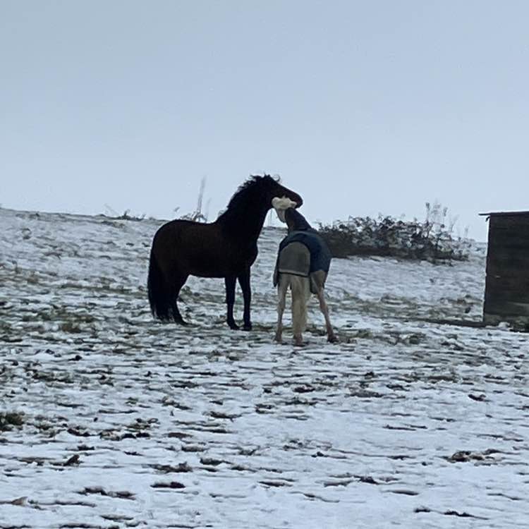 Wellness Together 🌍💚✨ Richard post image