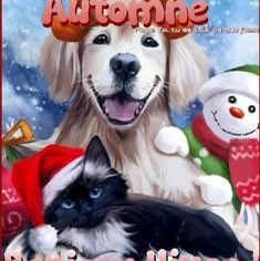 🐓La joie & la bonne humeur 🐎 Richard post image