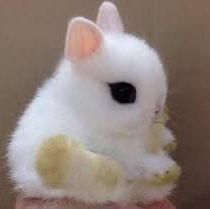 Winter is back Richard post image