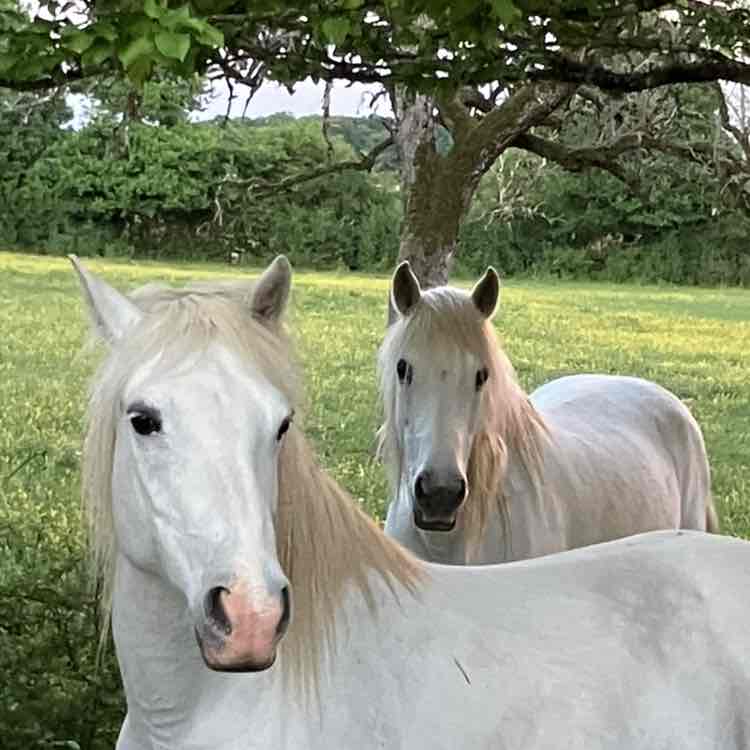 Winter is back Richard post image