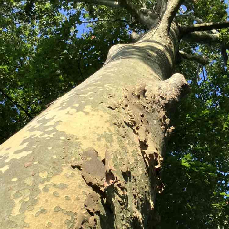 Team « pas » à gogo ! 🤪 Richard post image